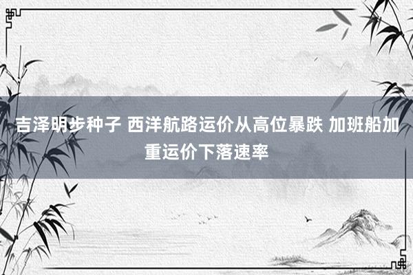 吉泽明步种子 西洋航路运价从高位暴跌 加班船加重运价下落速率