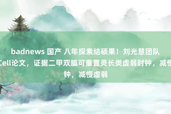 badnews 国产 八年探索结硕果！刘光慧团队最新Cell论文，证据二甲双胍可重置灵长类虚弱时钟，减慢虚弱