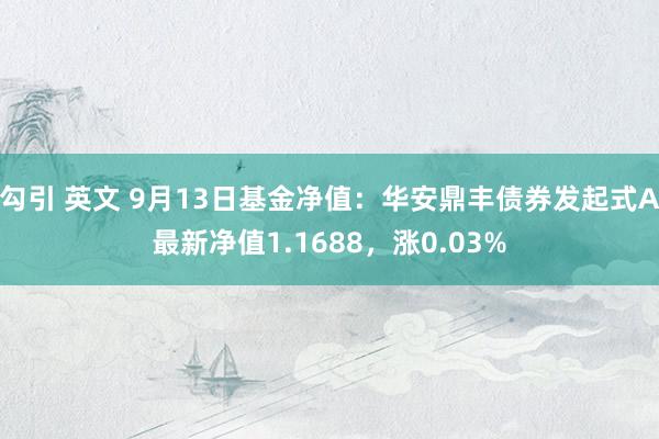 勾引 英文 9月13日基金净值：华安鼎丰债券发起式A最新净值1.1688，涨0.03%