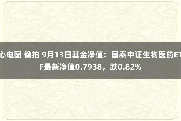 心电图 偷拍 9月13日基金净值：国泰中证生物医药ETF最新净值0.7938，跌0.82%