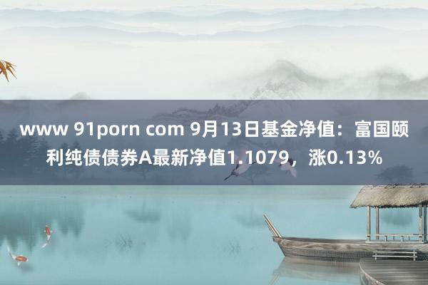 www 91porn com 9月13日基金净值：富国颐利纯债债券A最新净值1.1079，涨0.13%