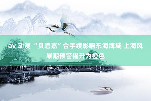 av 动漫 “贝碧嘉”合手续影响东海海域 上海风暴潮预警擢升为橙色