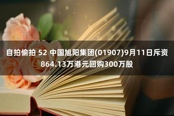 自拍偷拍 52 中国旭阳集团(01907)9月11日斥资864.13万港元回购300万股