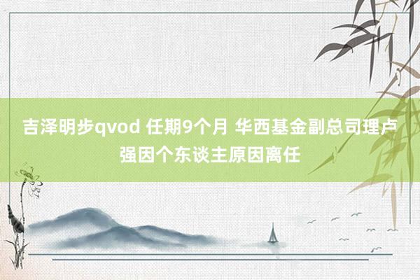 吉泽明步qvod 任期9个月 华西基金副总司理卢强因个东谈主原因离任