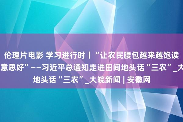 伦理片电影 学习进行时丨“让农民腰包越来越饱读、生计越来越好意思好”——习近平总通知走进田间地头话“三农”_大皖新闻 | 安徽网