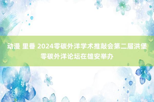 动漫 里番 2024零碳外洋学术推敲会第二届洪堡零碳外洋论坛在雄安举办