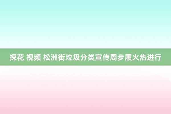 探花 视频 松洲街垃圾分类宣传周步履火热进行