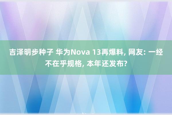 吉泽明步种子 华为Nova 13再爆料， 网友: 一经不在乎规格， 本年还发布?