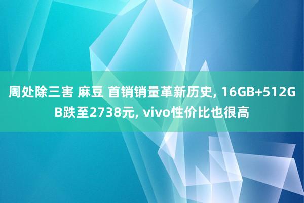 周处除三害 麻豆 首销销量革新历史， 16GB+512GB跌至2738元， vivo性价比也很高