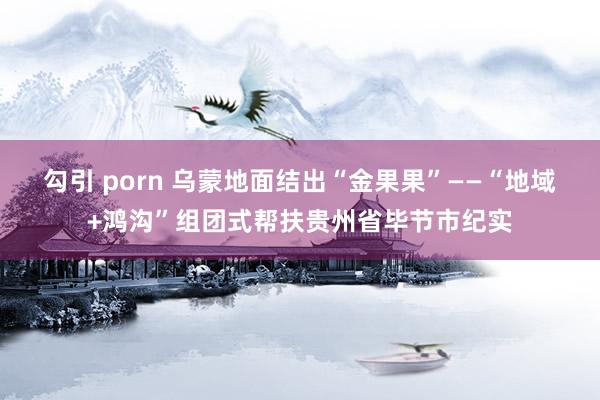 勾引 porn 乌蒙地面结出“金果果”——“地域+鸿沟”组团式帮扶贵州省毕节市纪实