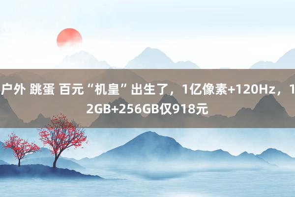 户外 跳蛋 百元“机皇”出生了，1亿像素+120Hz，12GB+256GB仅918元