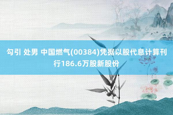 勾引 处男 中国燃气(00384)凭据以股代息计算刊行186.6万股新股份