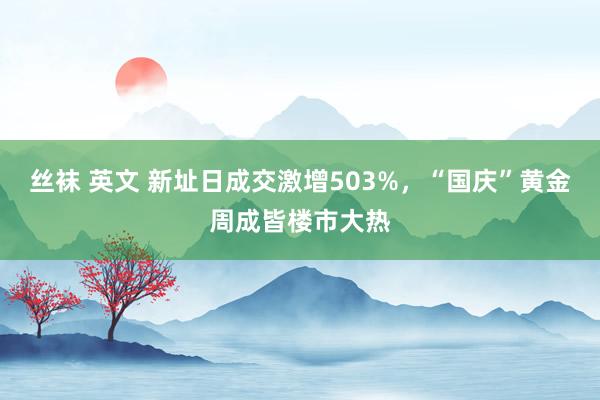 丝袜 英文 新址日成交激增503%，“国庆”黄金周成皆楼市大热