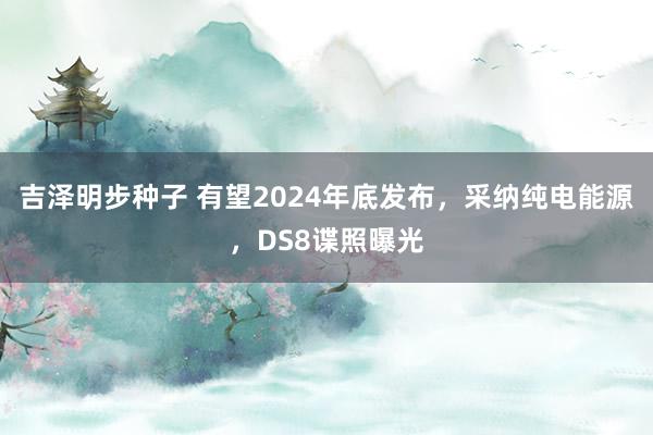 吉泽明步种子 有望2024年底发布，采纳纯电能源，DS8谍照曝光