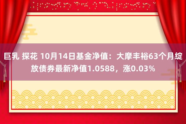 巨乳 探花 10月14日基金净值：大摩丰裕63个月绽放债券最新净值1.0588，涨0.03%