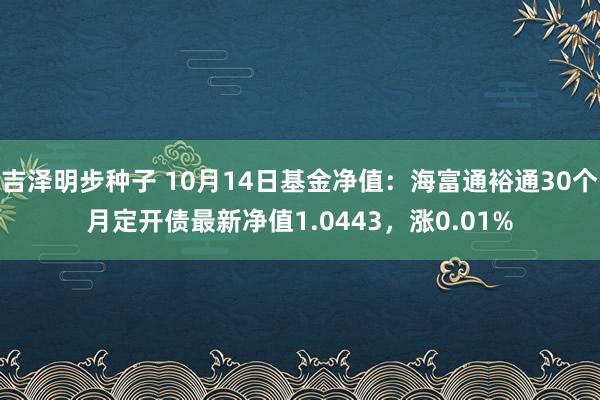 吉泽明步种子 10月14日基金净值：海富通裕通30个月定开债最新净值1.0443，涨0.01%