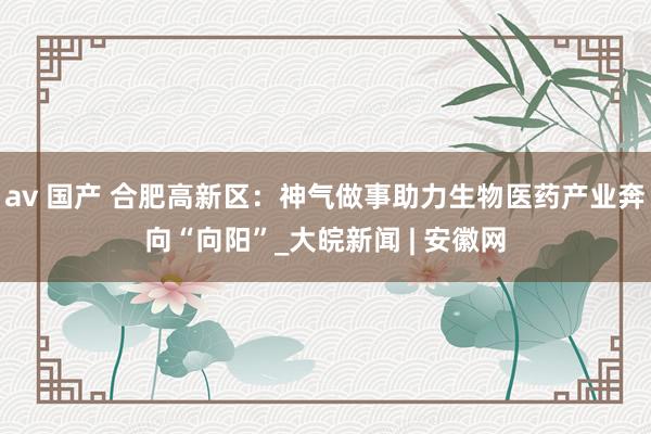 av 国产 合肥高新区：神气做事助力生物医药产业奔向“向阳”_大皖新闻 | 安徽网