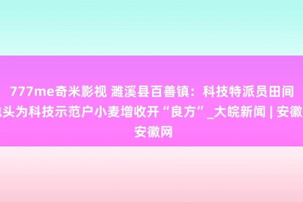 777me奇米影视 濉溪县百善镇：科技特派员田间地头为科技示范户小麦增收开“良方”_大皖新闻 | 安徽网