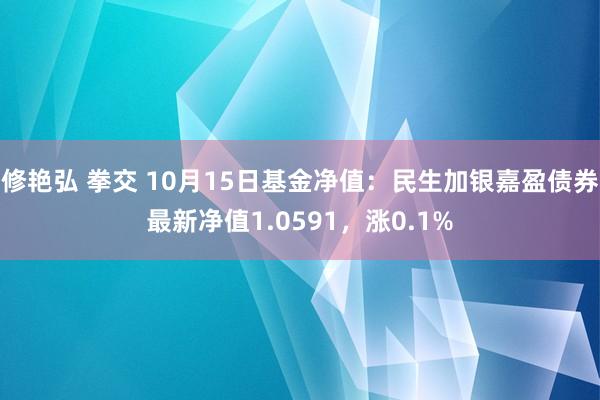 修艳弘 拳交 10月15日基金净值：民生加银嘉盈债券最新净值1.0591，涨0.1%