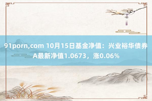 91porn，com 10月15日基金净值：兴业裕华债券A最新净值1.0673，涨0.06%