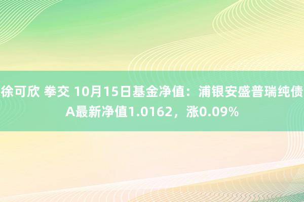 徐可欣 拳交 10月15日基金净值：浦银安盛普瑞纯债A最新净值1.0162，涨0.09%