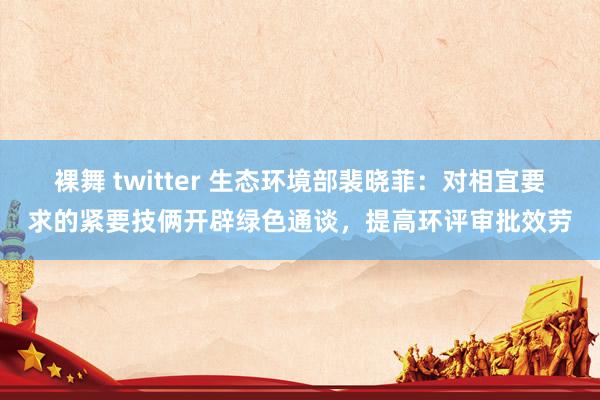 裸舞 twitter 生态环境部裴晓菲：对相宜要求的紧要技俩开辟绿色通谈，提高环评审批效劳