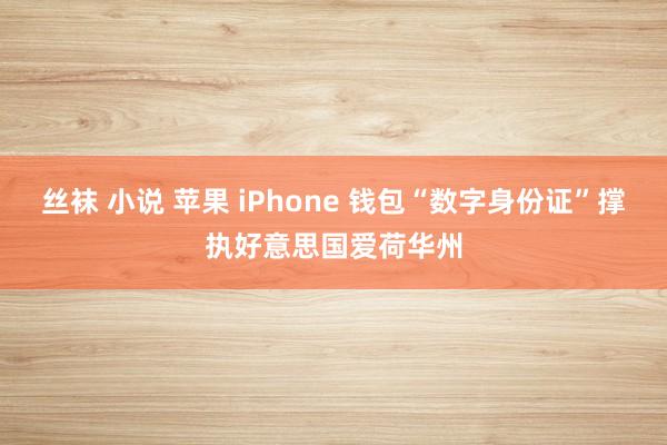 丝袜 小说 苹果 iPhone 钱包“数字身份证”撑执好意思国爱荷华州