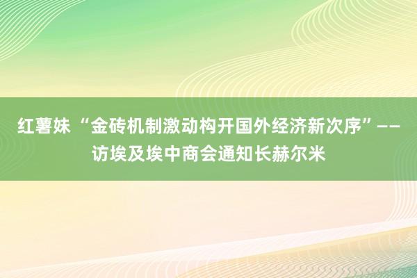 红薯妹 “金砖机制激动构开国外经济新次序”——访埃及埃中商会通知长赫尔米