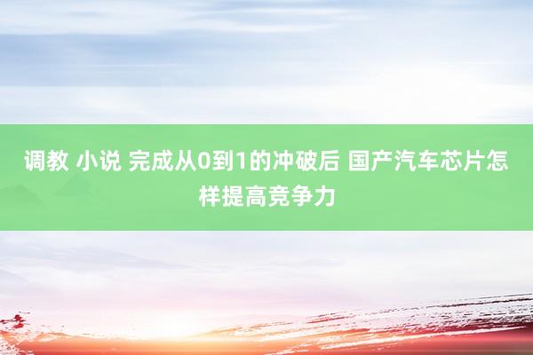 调教 小说 完成从0到1的冲破后 国产汽车芯片怎样提高竞争力