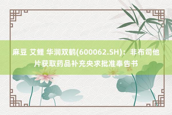 麻豆 艾鲤 华润双鹤(600062.SH)：非布司他片获取药品补充央求批准奉告书