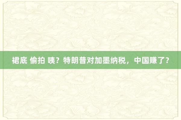 裙底 偷拍 咦？特朗普对加墨纳税，中国赚了？