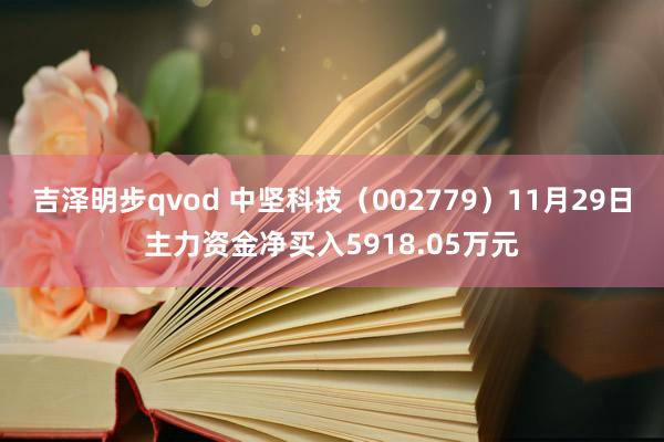 吉泽明步qvod 中坚科技（002779）11月29日主力资金净买入5918.05万元