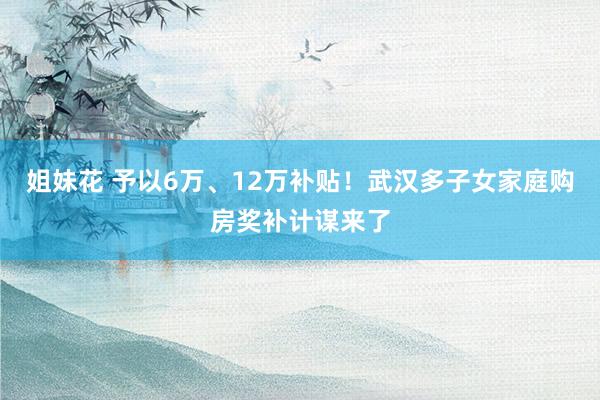 姐妹花 予以6万、12万补贴！武汉多子女家庭购房奖补计谋来了