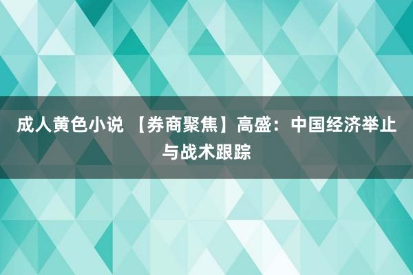 成人黄色小说 【券商聚焦】高盛：中国经济举止与战术跟踪