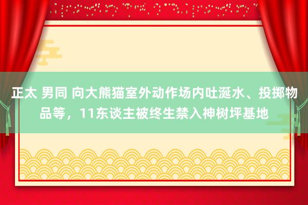 正太 男同 向大熊猫室外动作场内吐涎水、投掷物品等，11东谈主被终生禁入神树坪基地