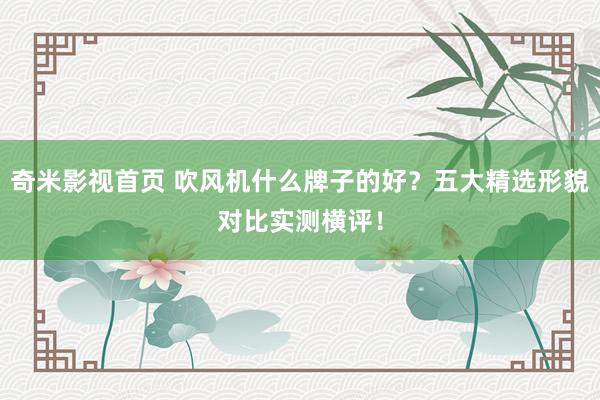 奇米影视首页 吹风机什么牌子的好？五大精选形貌对比实测横评！