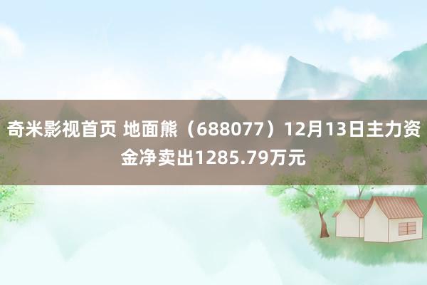 奇米影视首页 地面熊（688077）12月13日主力资金净卖出1285.79万元