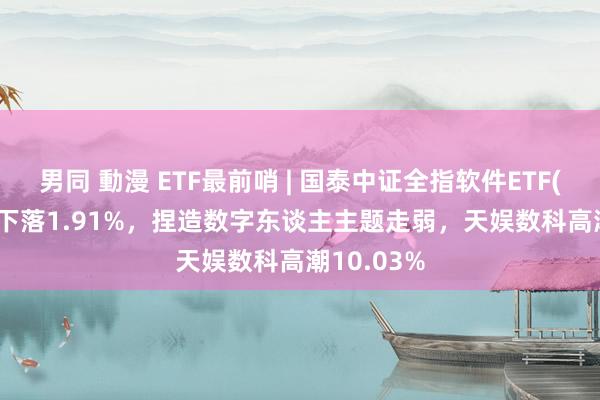 男同 動漫 ETF最前哨 | 国泰中证全指软件ETF(515230)下落1.91%，捏造数字东谈主主题走弱，天娱数科高潮10.03%