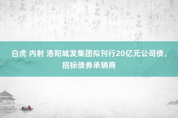 白虎 内射 洛阳城发集团拟刊行20亿元公司债，招标债券承销商