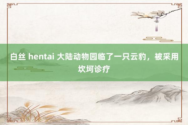 白丝 hentai 大陆动物园临了一只云豹，被采用坎坷诊疗