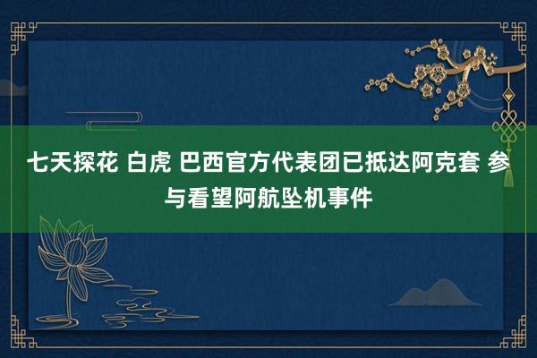 七天探花 白虎 巴西官方代表团已抵达阿克套 参与看望阿航坠机事件