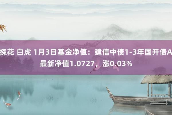 探花 白虎 1月3日基金净值：建信中债1-3年国开债A最新净值1.0727，涨0.03%