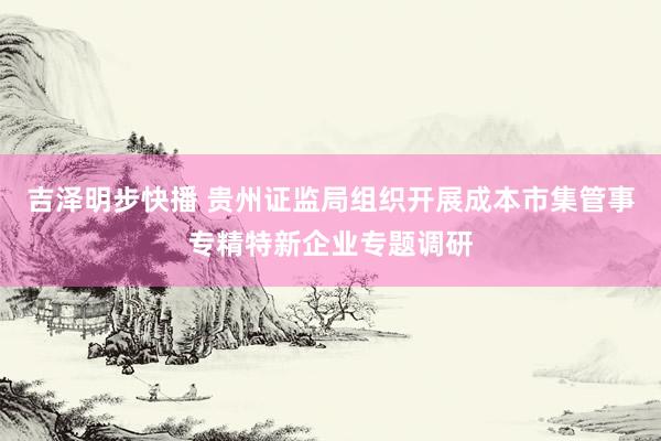 吉泽明步快播 贵州证监局组织开展成本市集管事专精特新企业专题调研