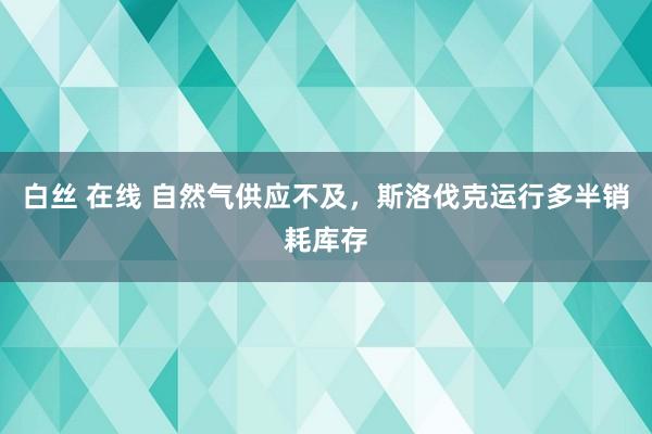 白丝 在线 自然气供应不及，斯洛伐克运行多半销耗库存