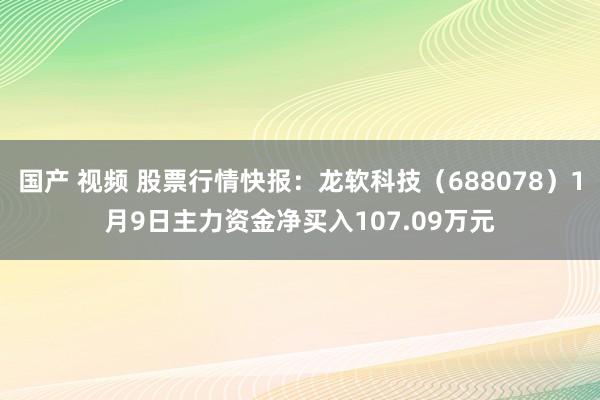 国产 视频 股票行情快报：龙软科技（688078）1月9日主力资金净买入107.09万元