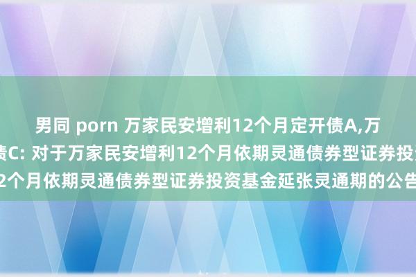 男同 porn 万家民安增利12个月定开债A，万家民安增利12个月定开债C: 对于万家民安增利12个月依期灵通债券型证券投资基金延张灵通期的公告