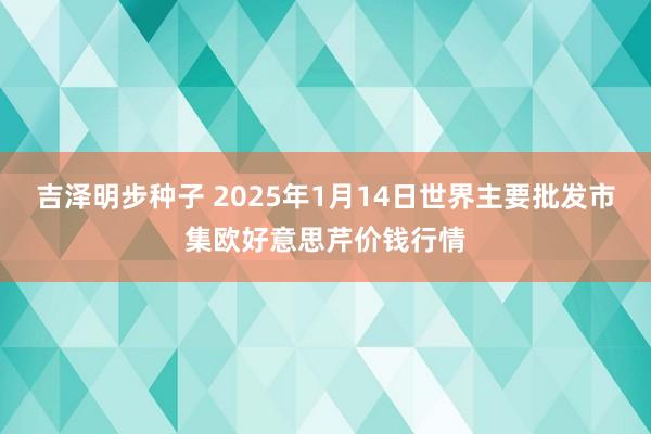 吉泽明步种子 2025年1月14日世界主要批发市集欧好意思芹价钱行情