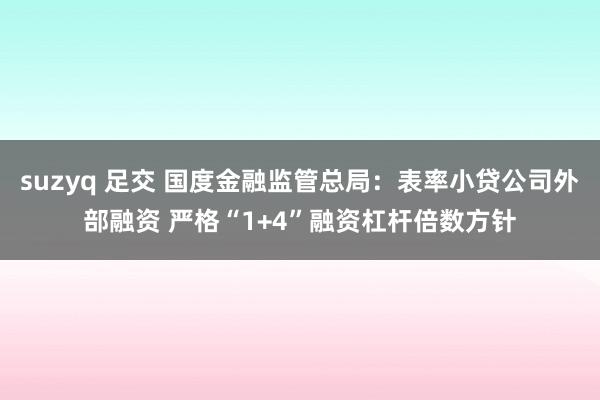 suzyq 足交 国度金融监管总局：表率小贷公司外部融资 严格“1+4”融资杠杆倍数方针