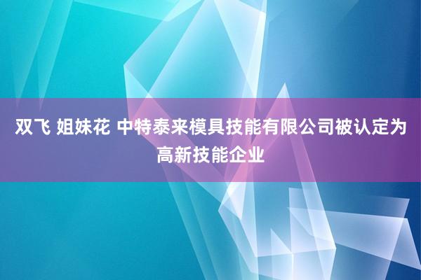 双飞 姐妹花 中特泰来模具技能有限公司被认定为高新技能企业