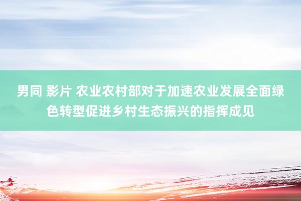 男同 影片 农业农村部对于加速农业发展全面绿色转型促进乡村生态振兴的指挥成见